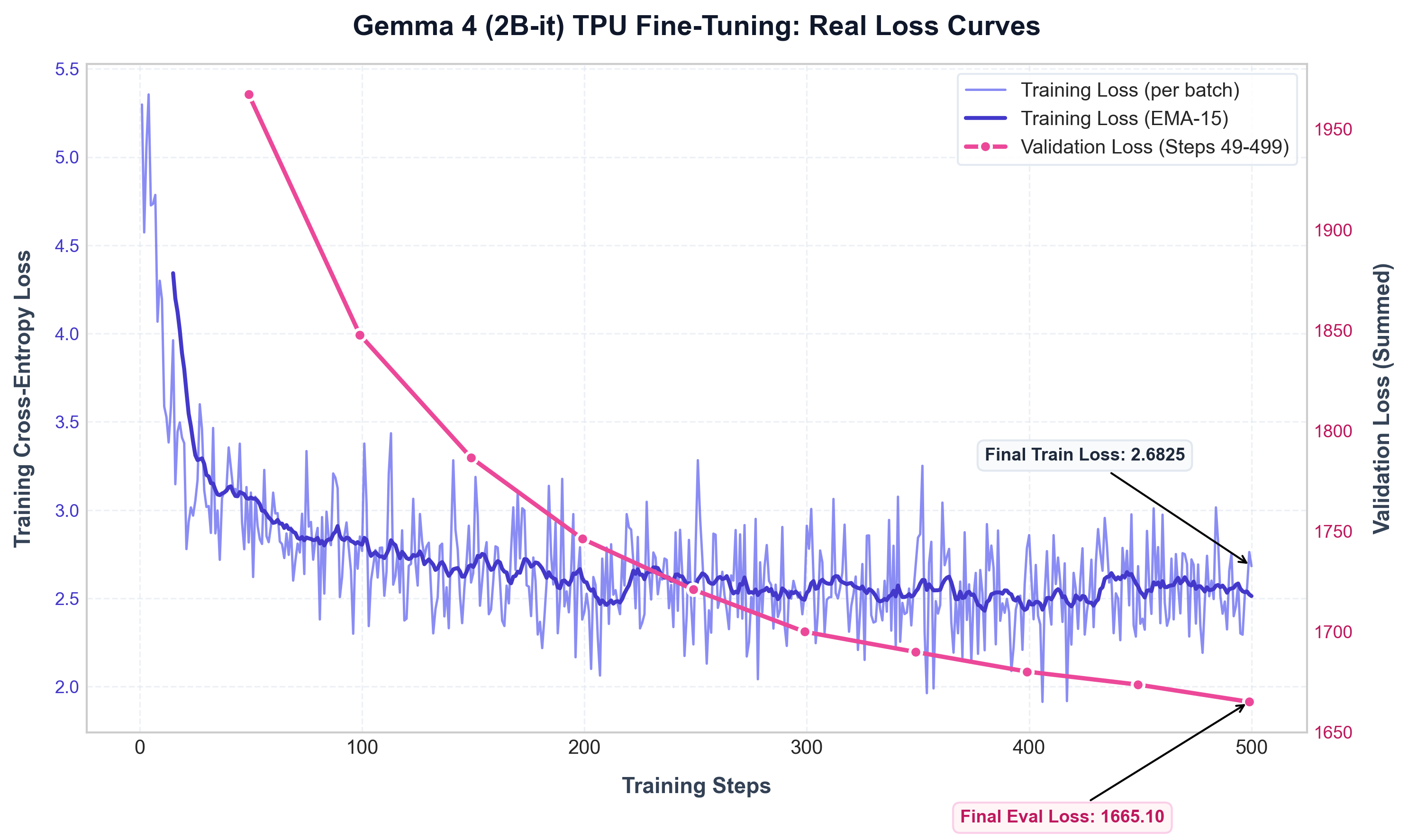 Training & Validation Loss Curves